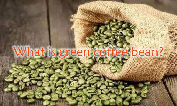 green coffee bean extract