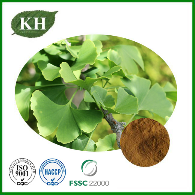 Ginkgo Biloba Leaf Extract.jpg